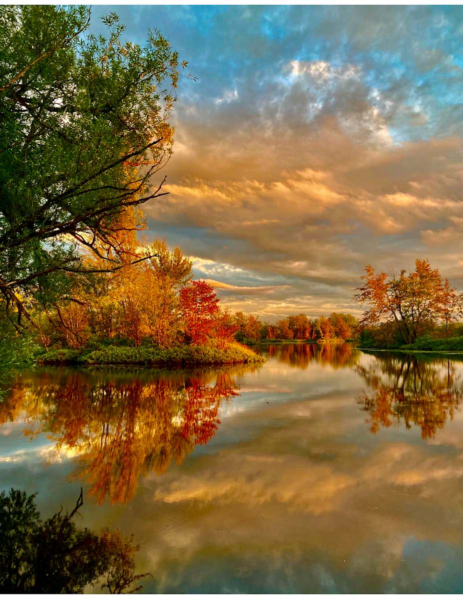 Fiery Reflections by Cathy Mc Dermott 