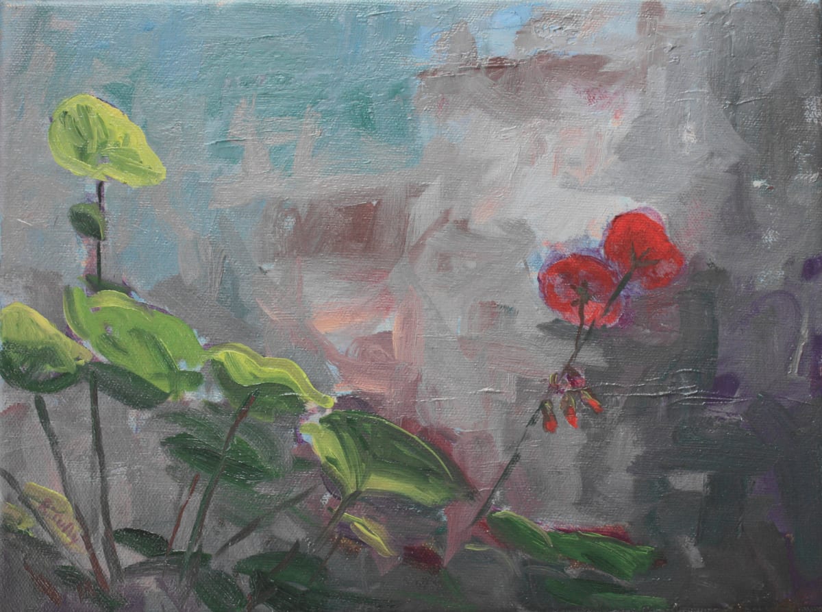 Geranium by Ray Tully 