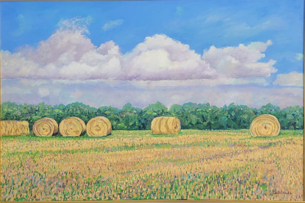 Hay Bales Near Sugarland Forest by Timothy Whitehouse 