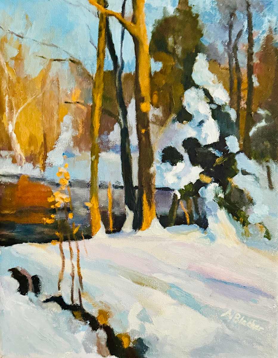 Sun and Shadow by Nancy Blacker 