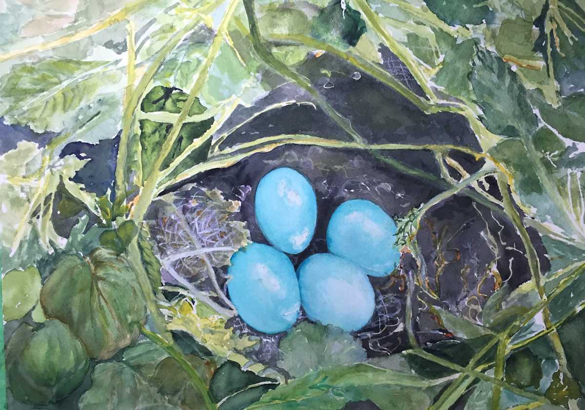 Nested Blue Eggs by Monika Griff 