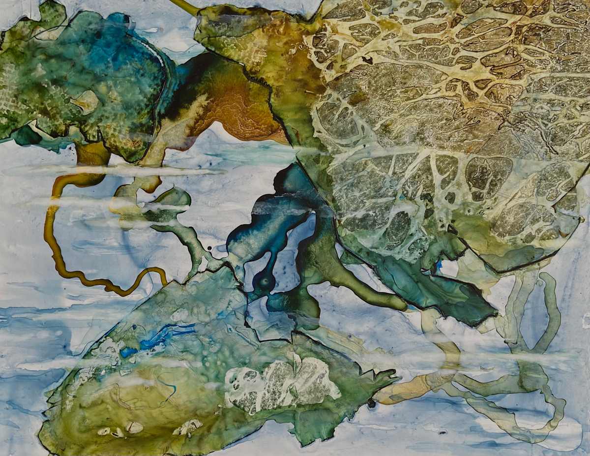 Sea Life by Marita Gebhardt 