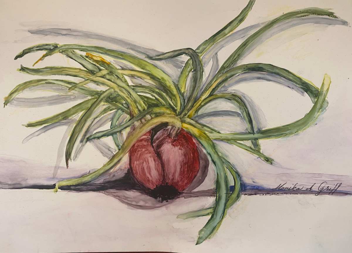 Shallot Gone Wild by Monika Griff 