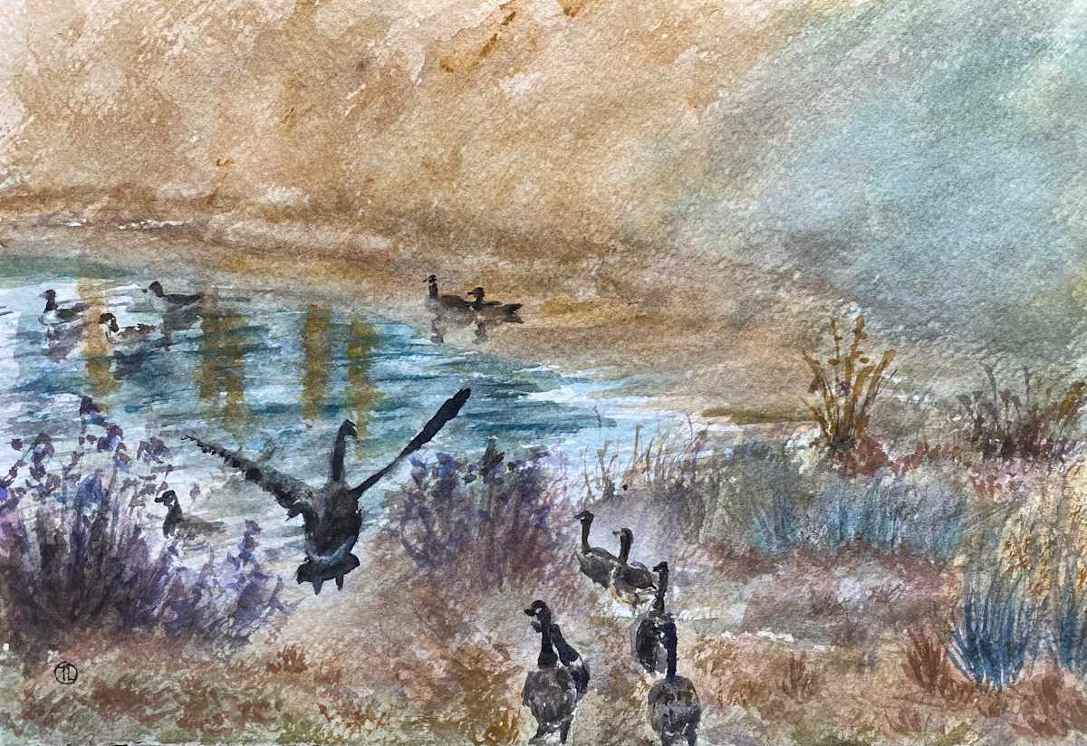 Now is Water Time! by Tong Li 