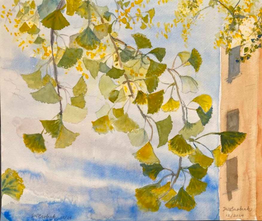Ginkgo Changing by Susan Brobeck 