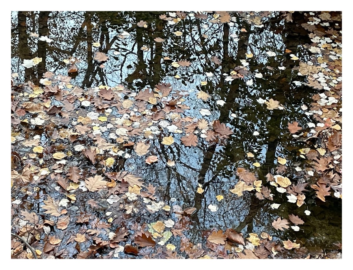 Agua que no has de beber by Mauricio Athie 