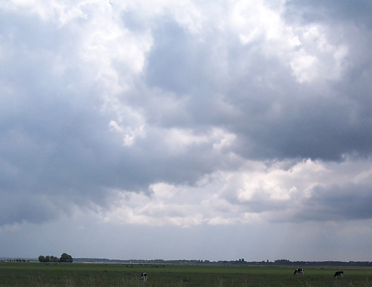 Just a Cloud, or Two... by Sheila Moldover 