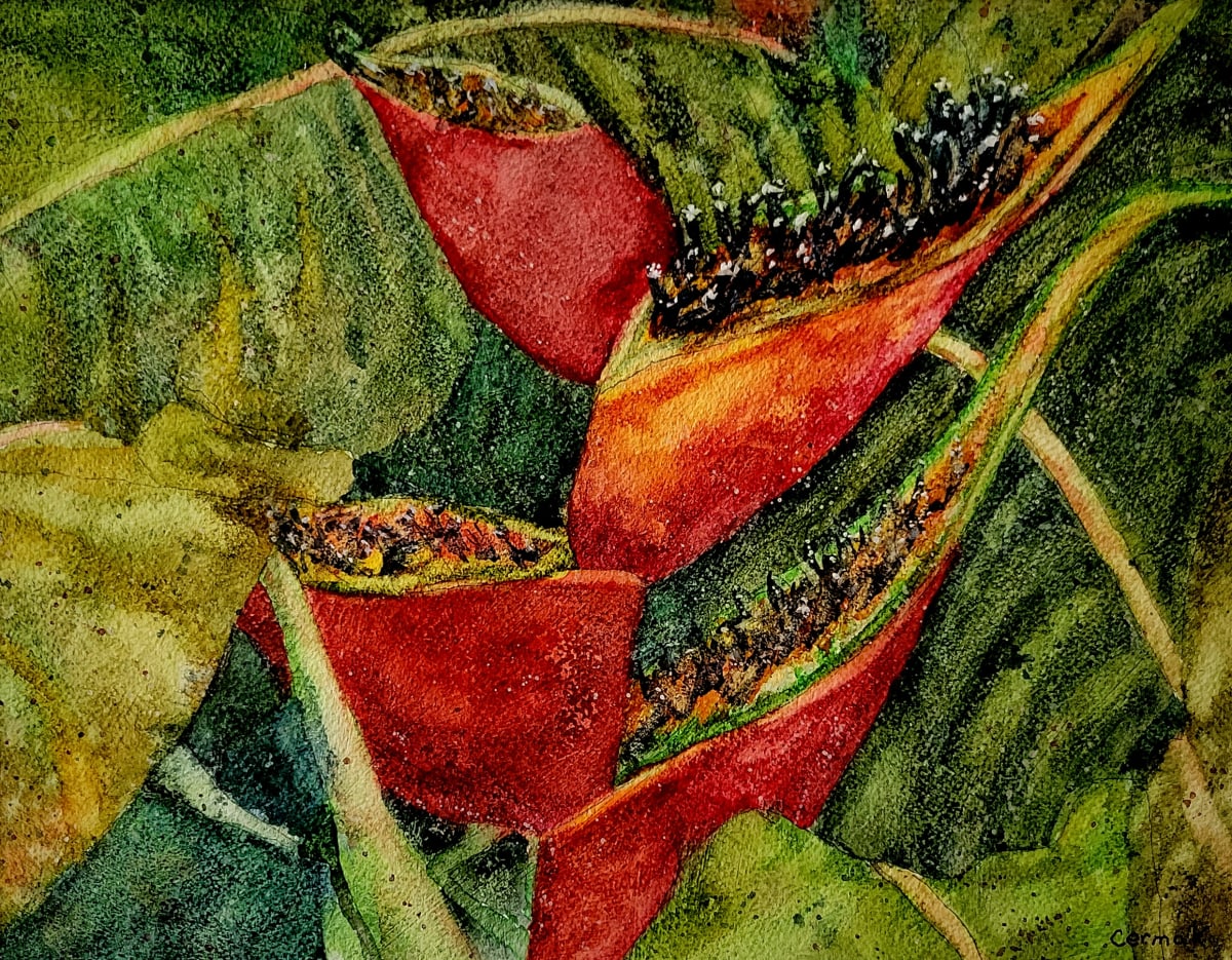 Tropical Fire by Linda Daniels Cermak 