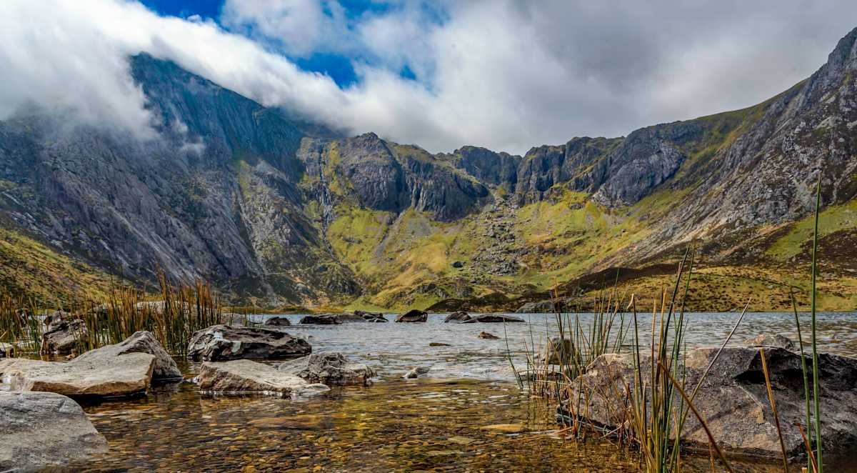 Lake Vista North Wales by Cecelia M. Laurendeau 
