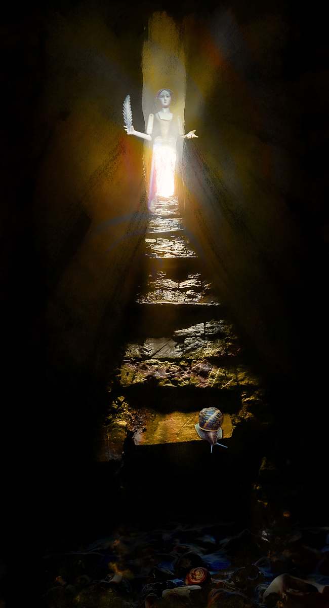 The Revelation by Liliane Blom 