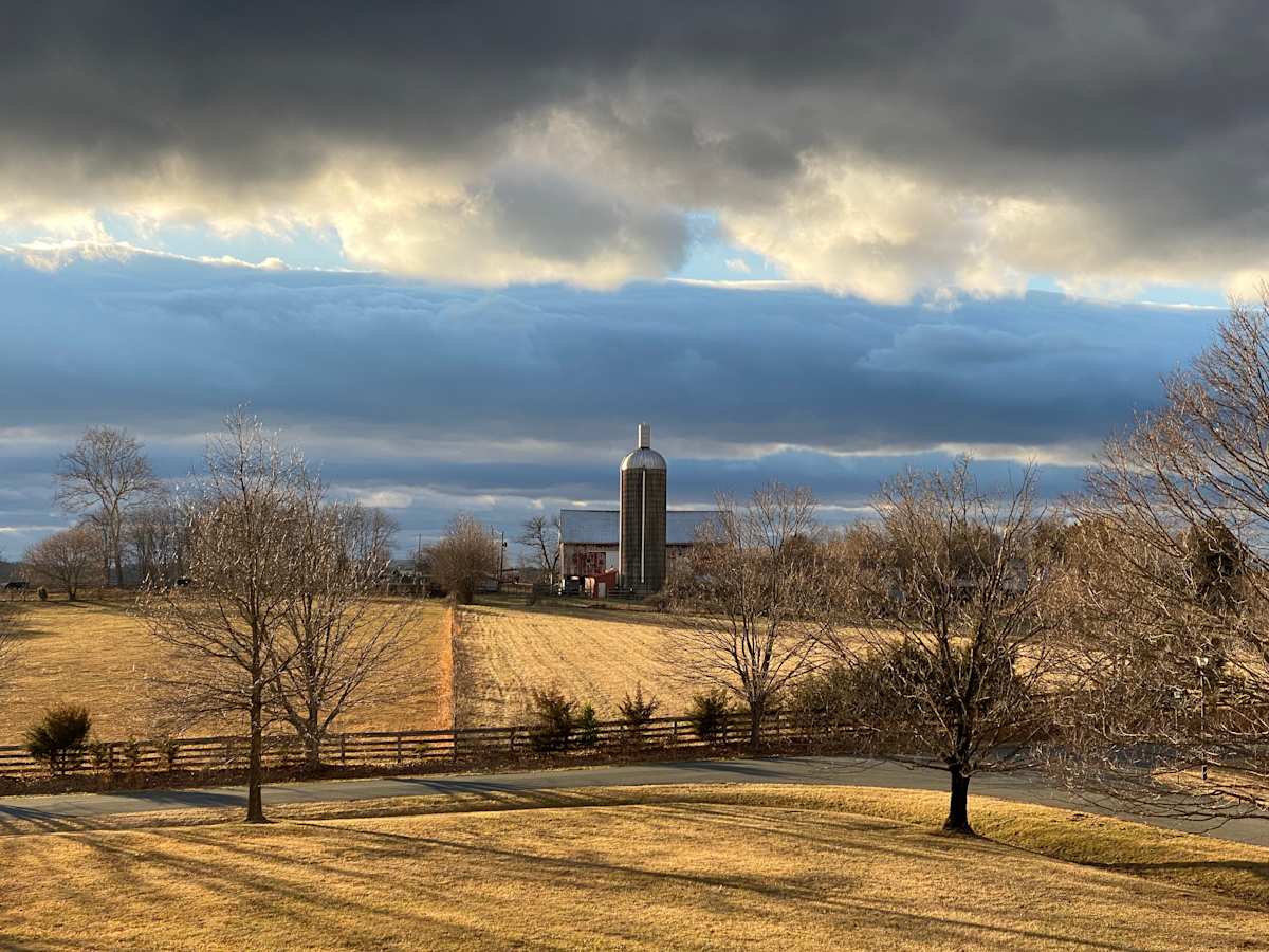 March Winds by Lisa Sieg 