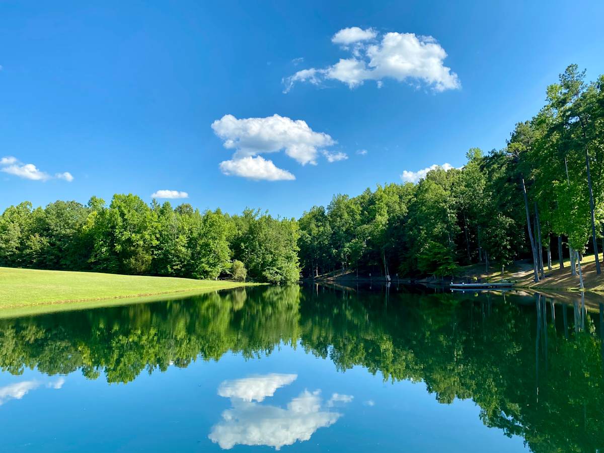 Midsummer Reflection by Lisa Sieg 