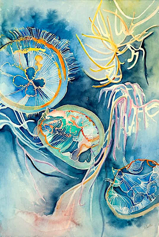 More Jellies by Barbara Bell 