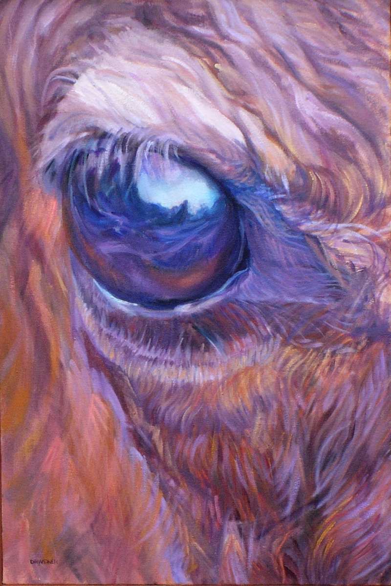 Landscape in an Eye by Diane Weiner 