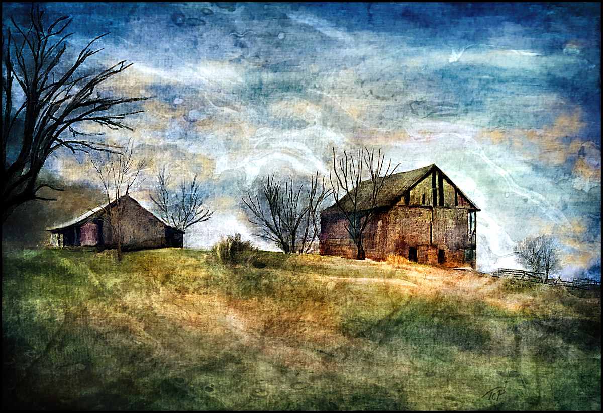 Old Barn II by Terry Pellmar 