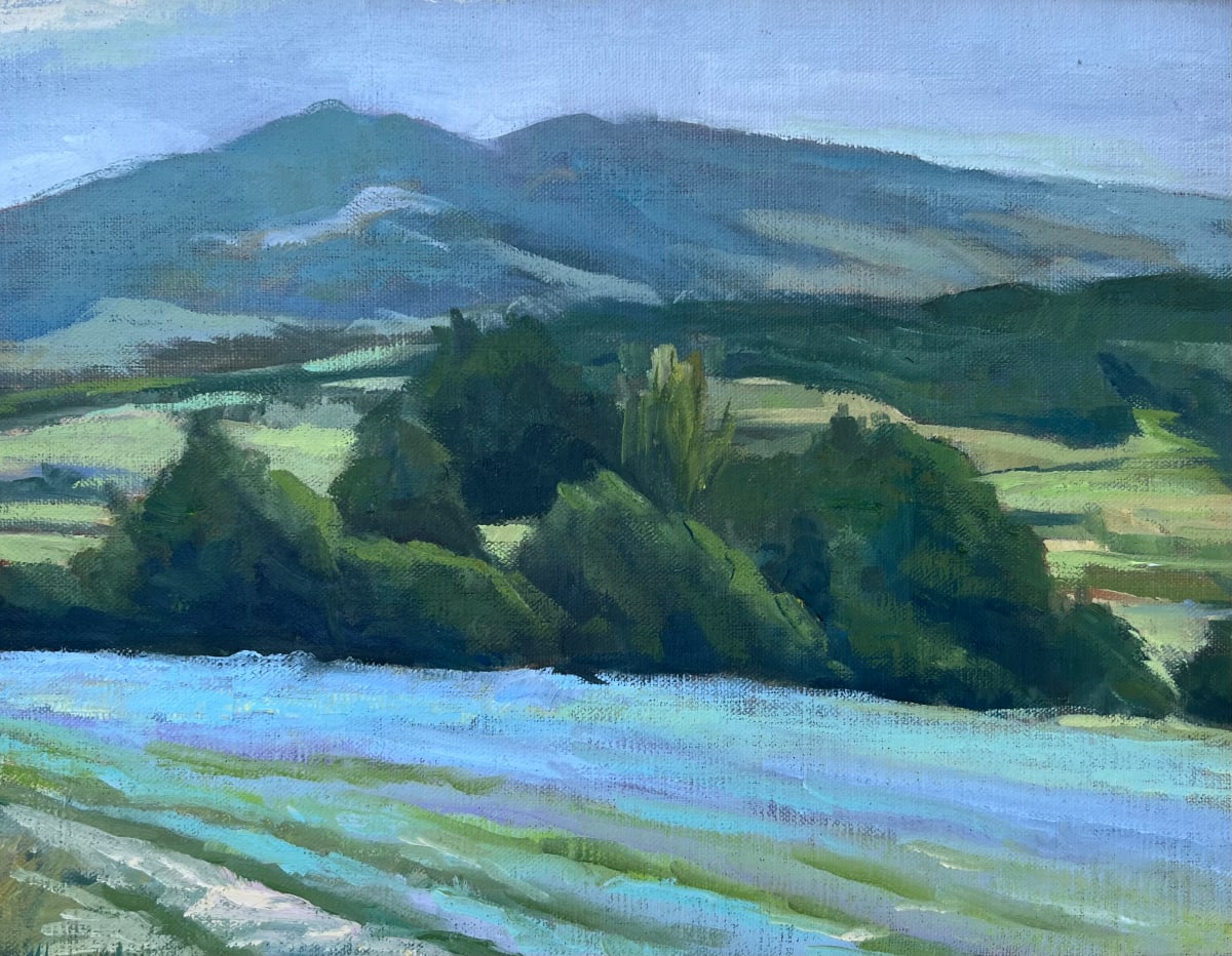 Provence Field by Jennifer Howard 