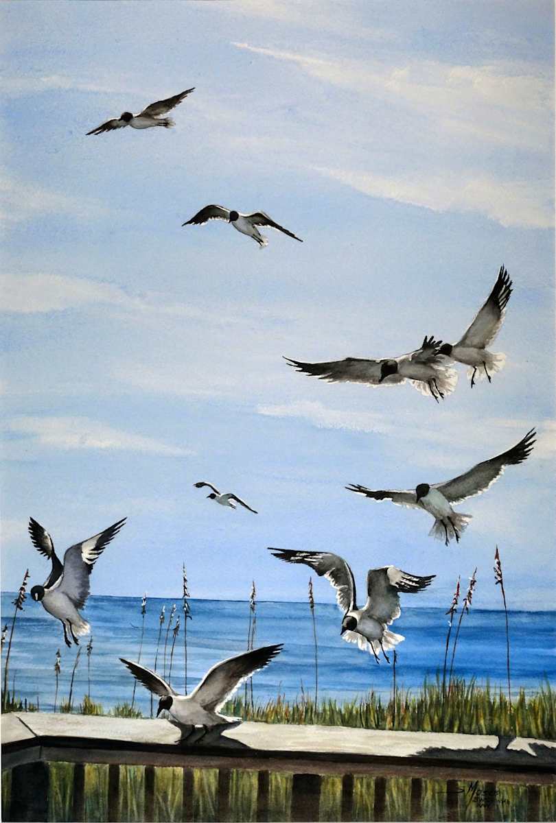 Seagulls at North Carolina Beach by Susan Moses, Image 1.