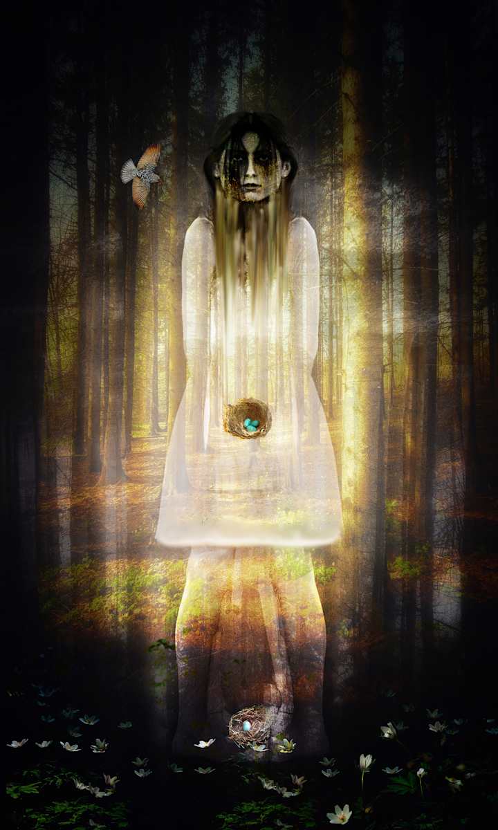 The  Sentinel of Unhatched Dreams by Liliane Blom 