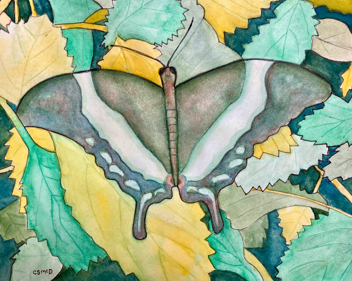 Wings and Leaves by Cathy Mc Dermott 
