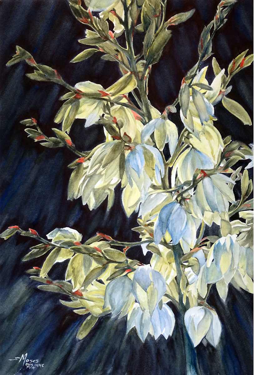 Yucca Flowers by Susan Moses 