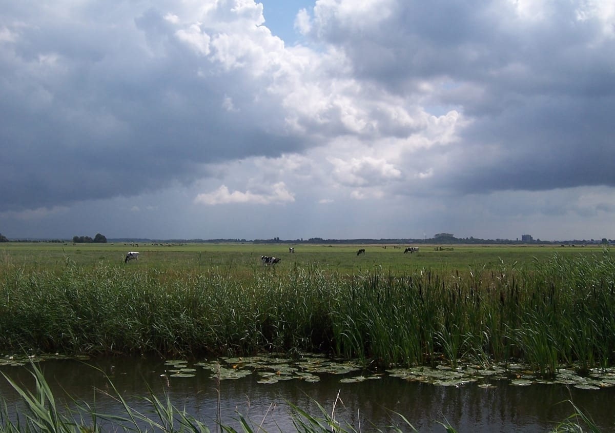 About to Get Wetter by Sheila Moldover 