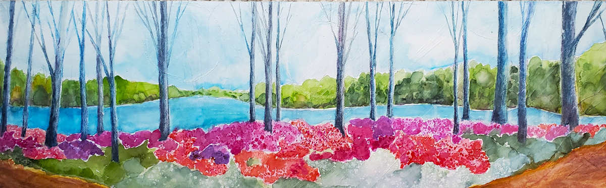 Brighton Dam by Margo Kabel 