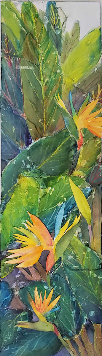 Paradise by Margo Kabel 