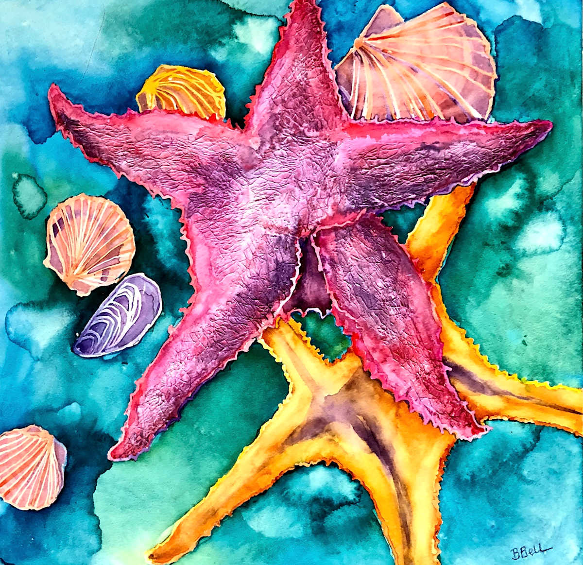 Star by Barbara Bell 