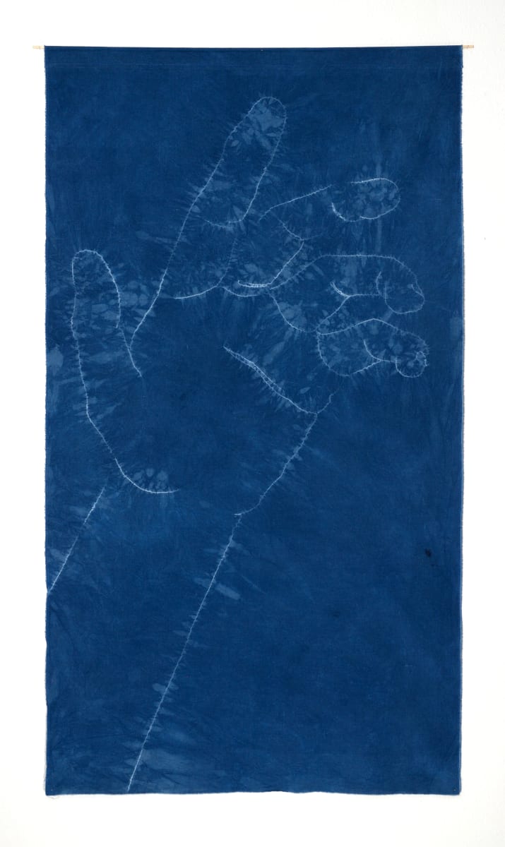 Indigo Hands, Image 2.