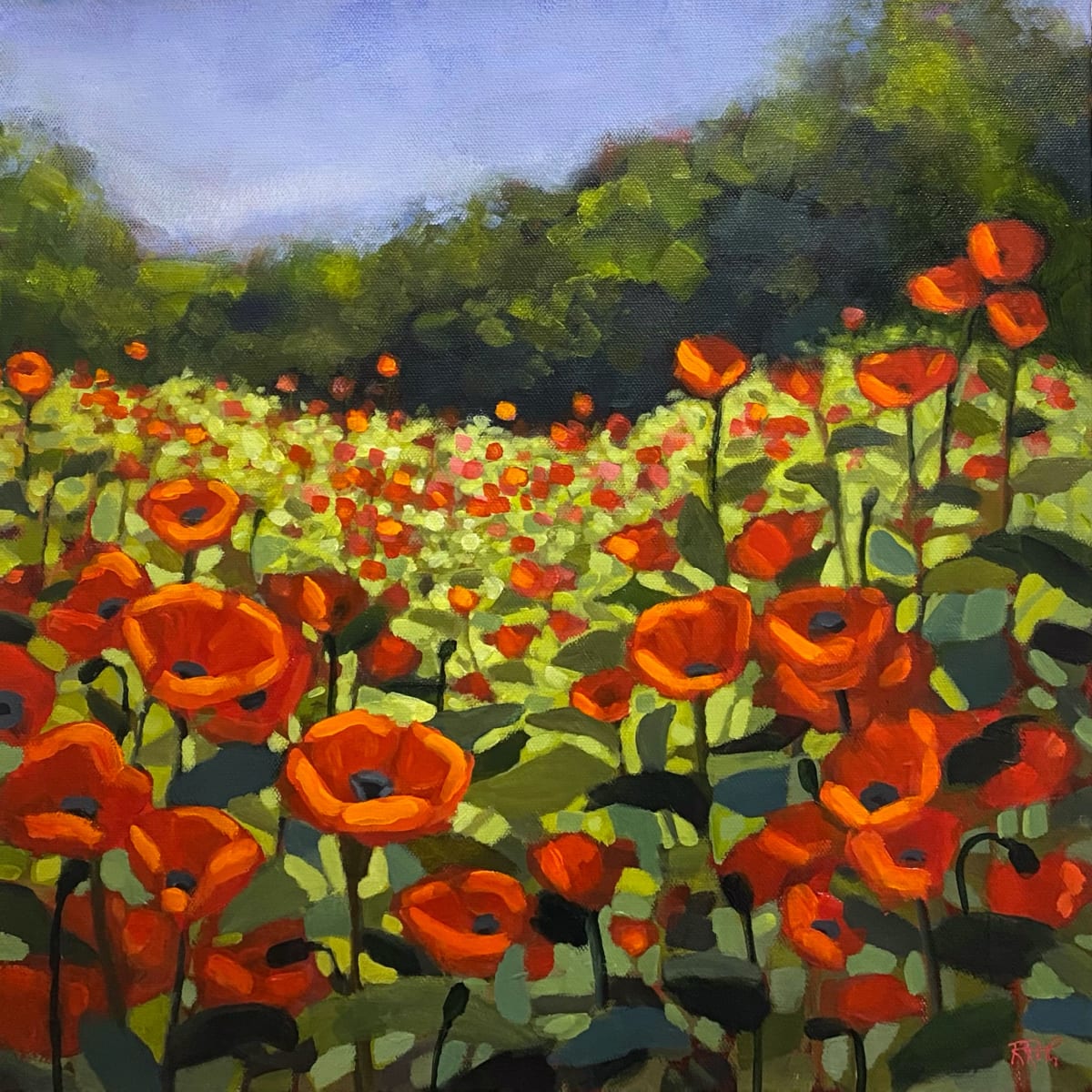 Poppies at Play by Raquel Roth 