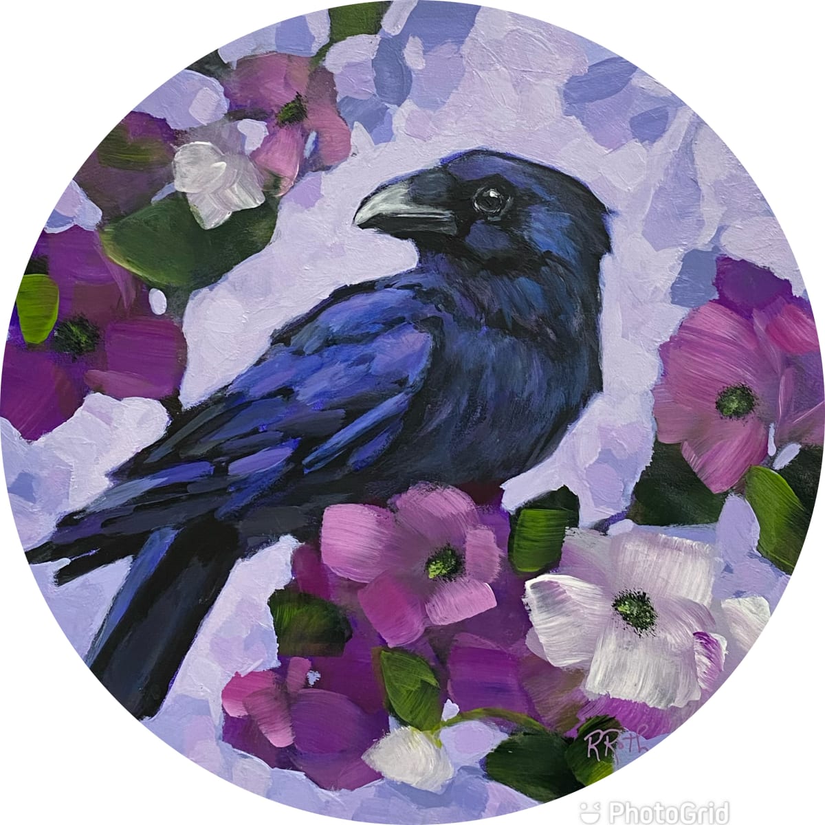 Jett by Raquel Roth, Image 11.