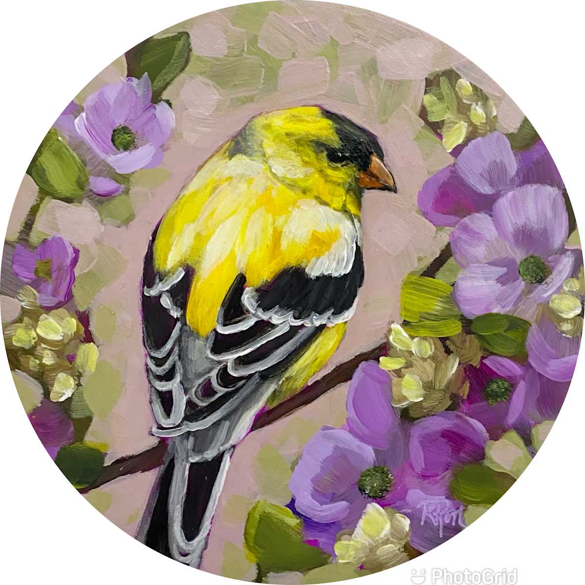 Nugget by Raquel Roth 