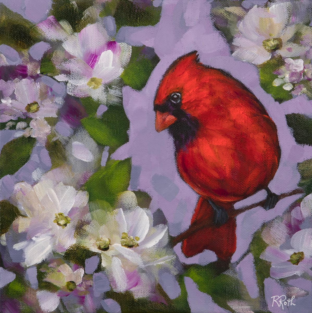 Cupid by Raquel Roth 