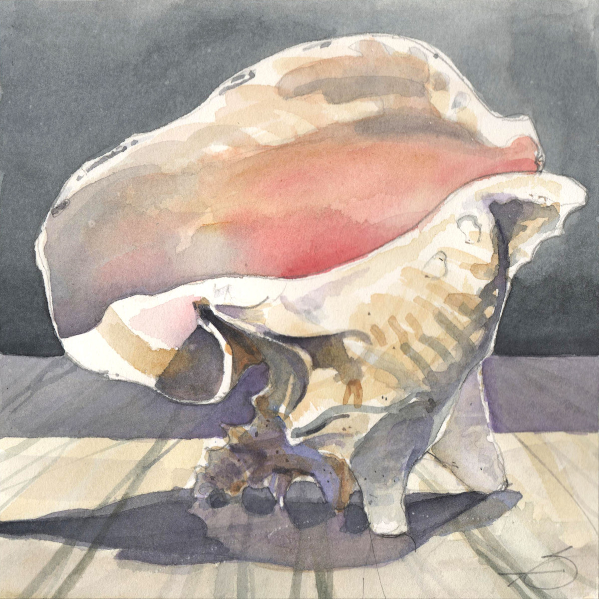 Conch Shell Watercolor by Baron Wilson 