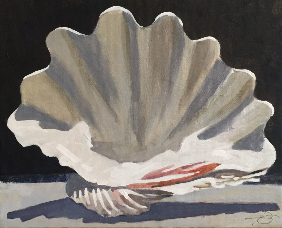 Clam Shell Study by Baron Wilson 