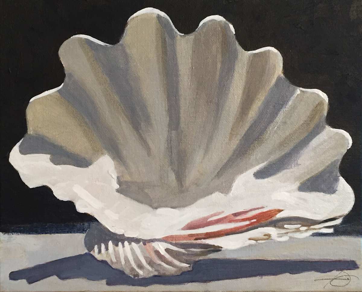 Clam Shell Study by Baron Wilson, Image 1.