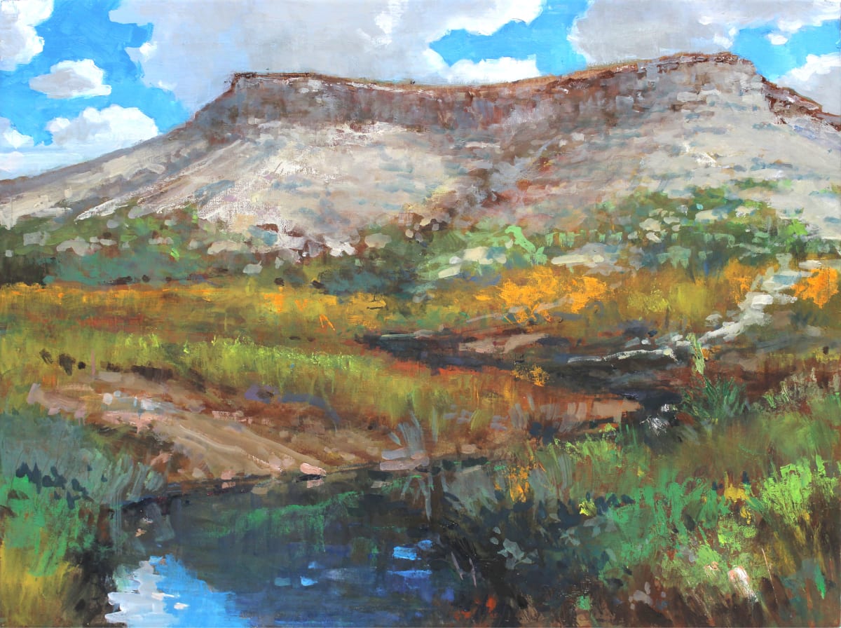 Far West Mesa by Baron Wilson 