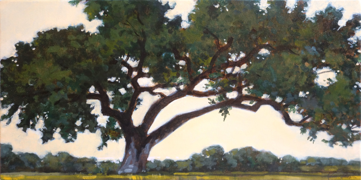 Heritage Oak Along The Road To Austin by Baron Wilson 