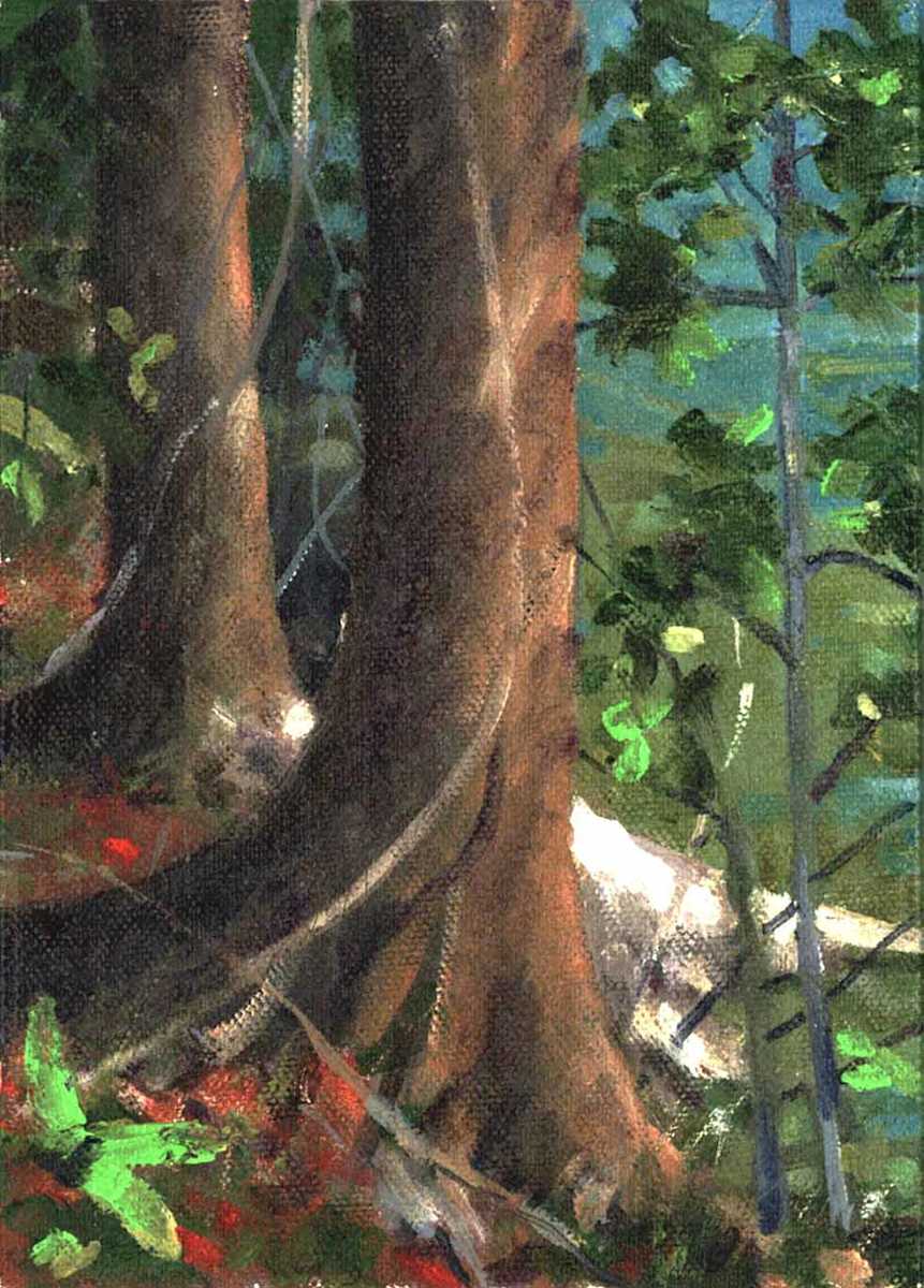 Lakeside Color by Baron Wilson, Image 1.