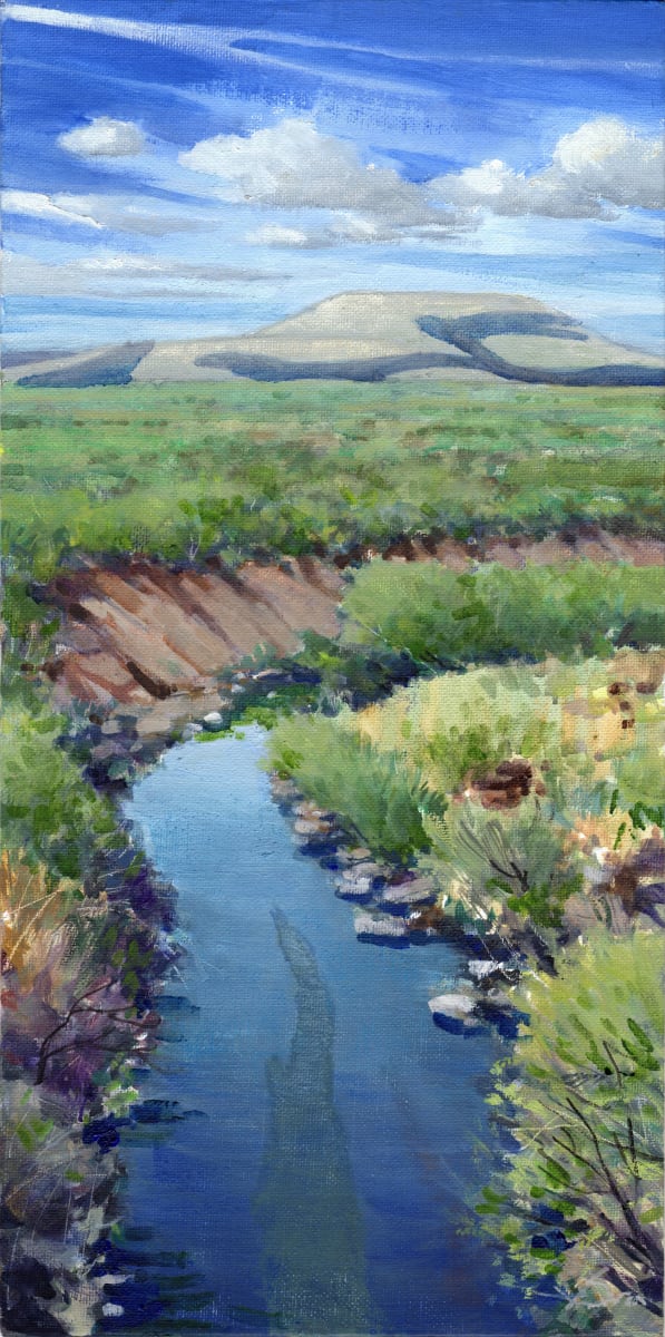 Rio Pecos Vista by Baron Wilson 