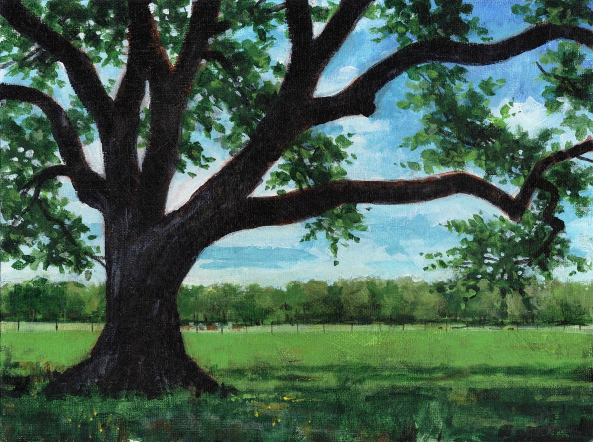 Ranchland Oak by Baron Wilson 