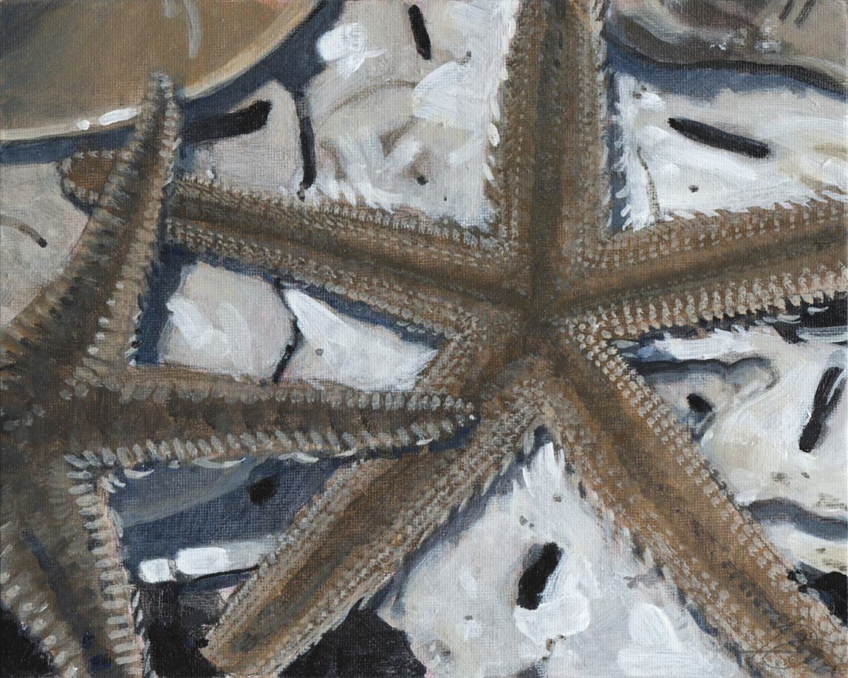 Starfish Study by Baron Wilson 
