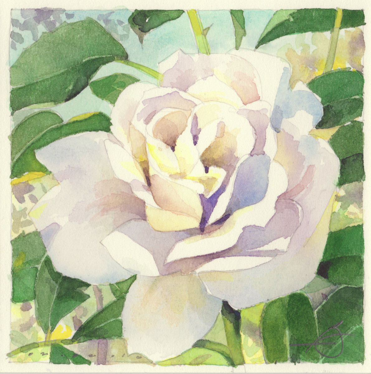 This White Rose by Baron Wilson 