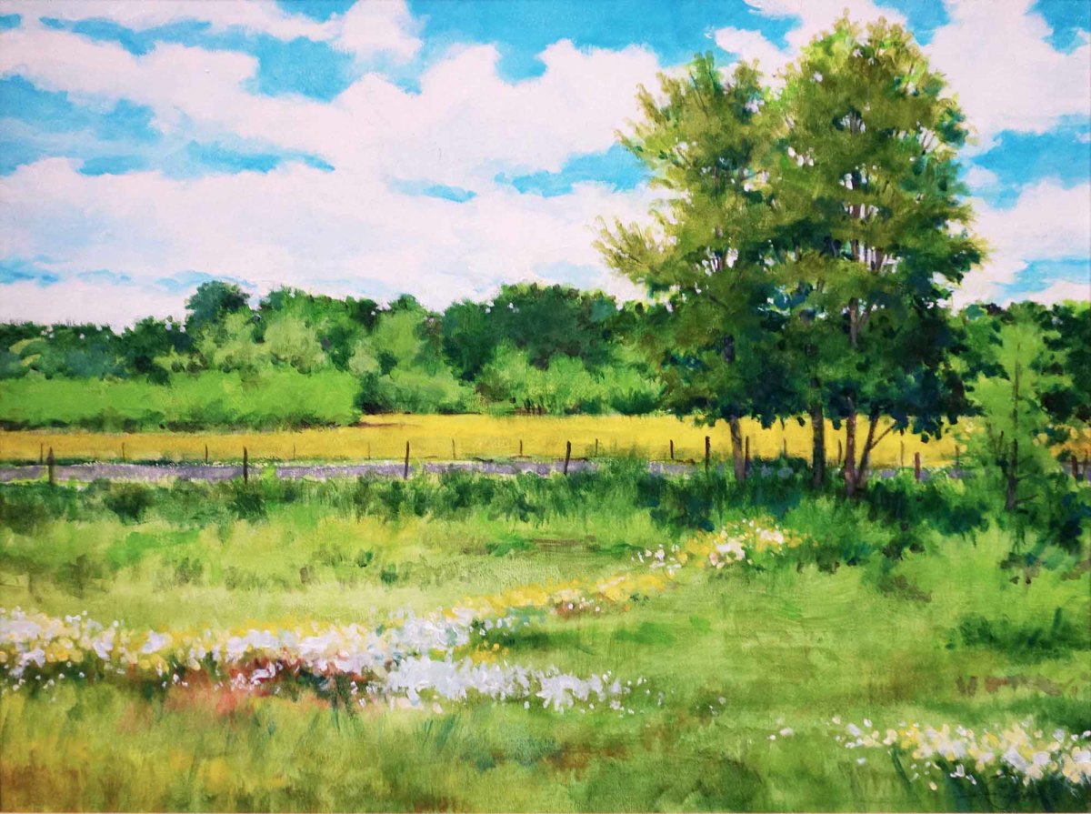 View Across The Road by Baron Wilson 