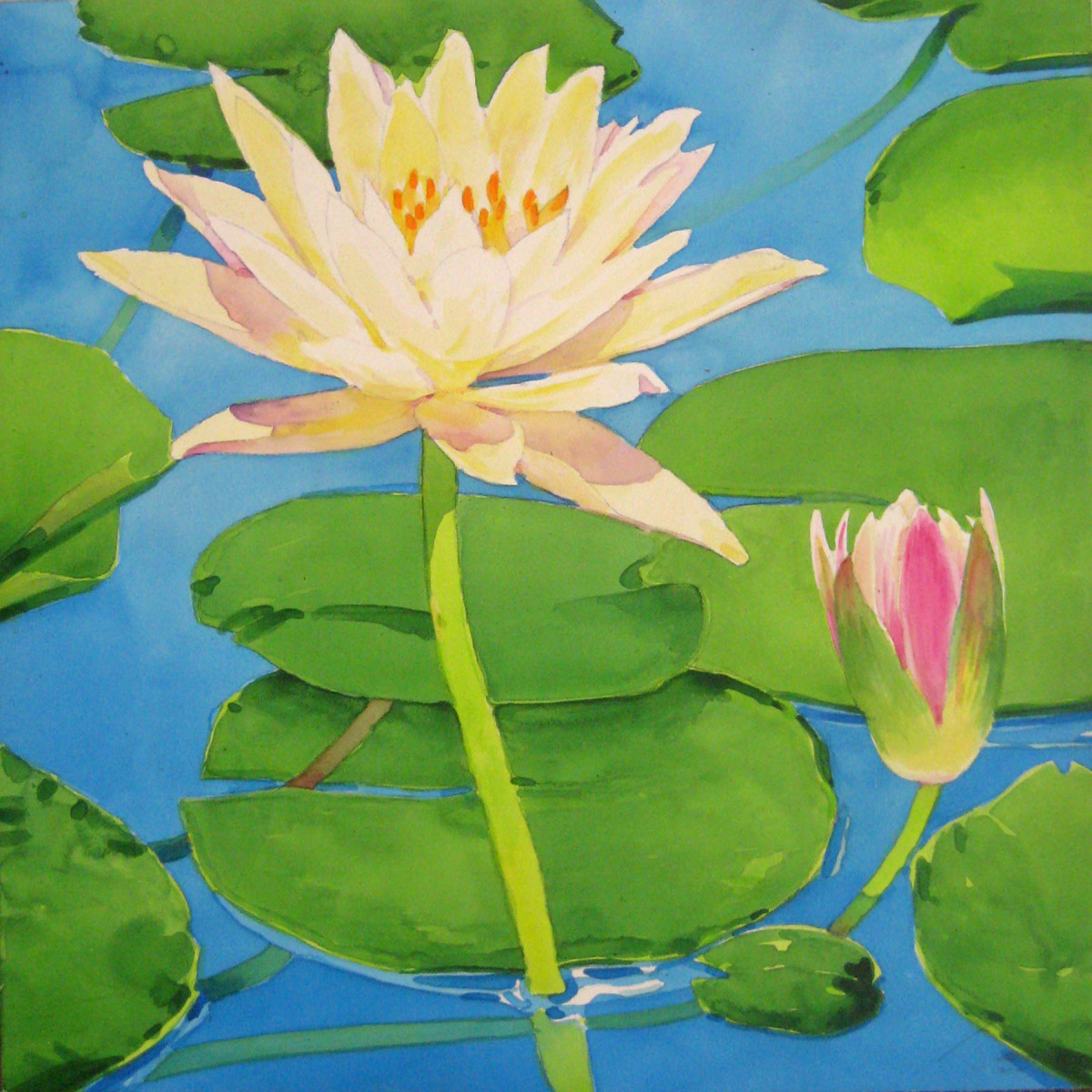 Waterlily One by Baron Wilson 