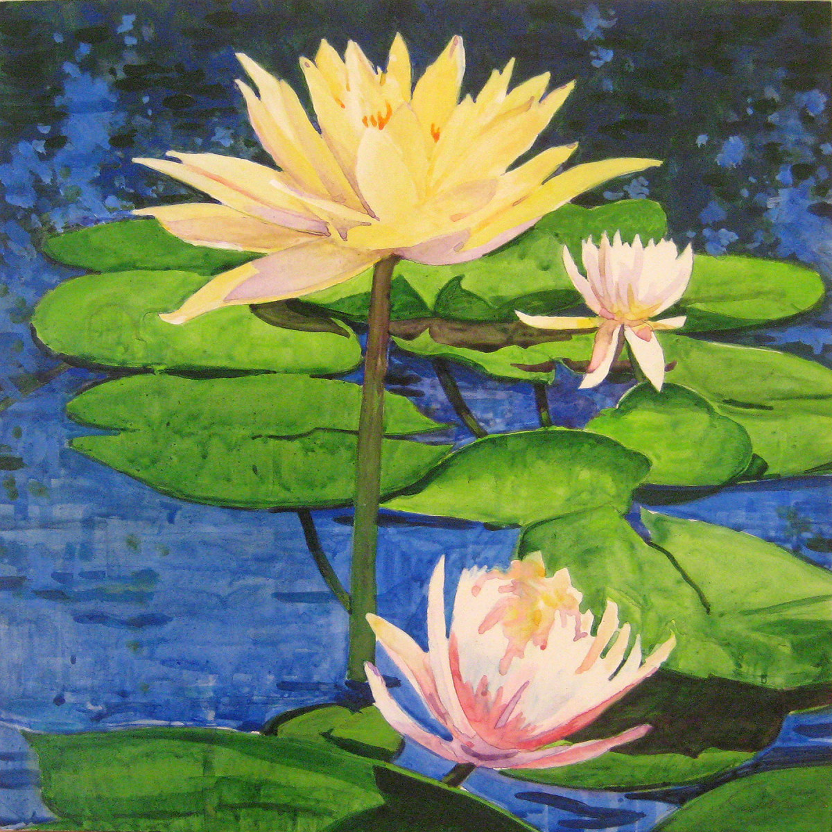 Waterlily 3 by Baron Wilson 