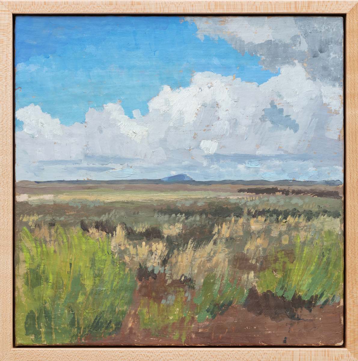 Beatys Butte - From French Glen Road, Hart Mountain National Antelope Refuge by Sarah F. Burns 