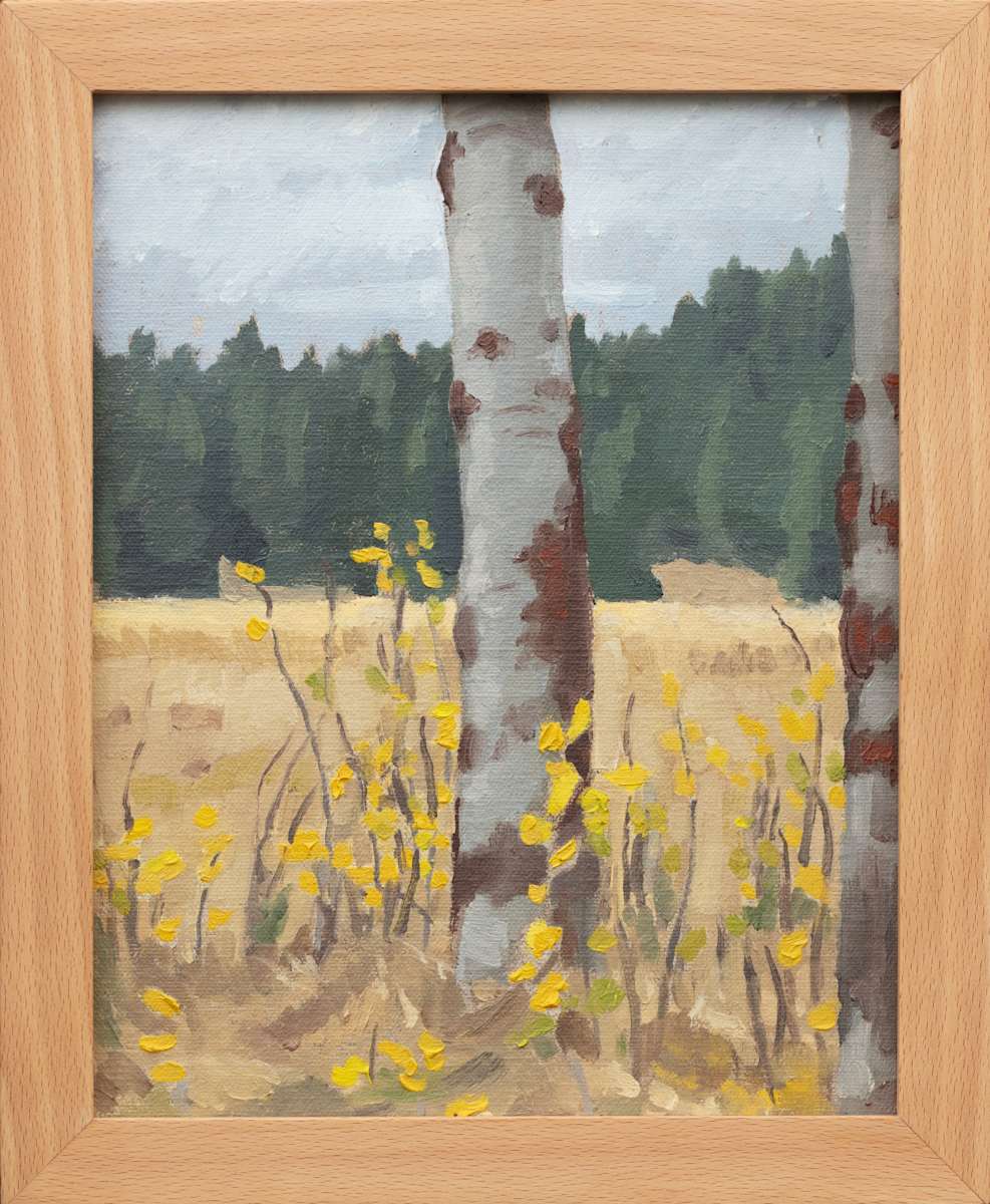 Aspen at Vesper Meadow by Sarah F. Burns 