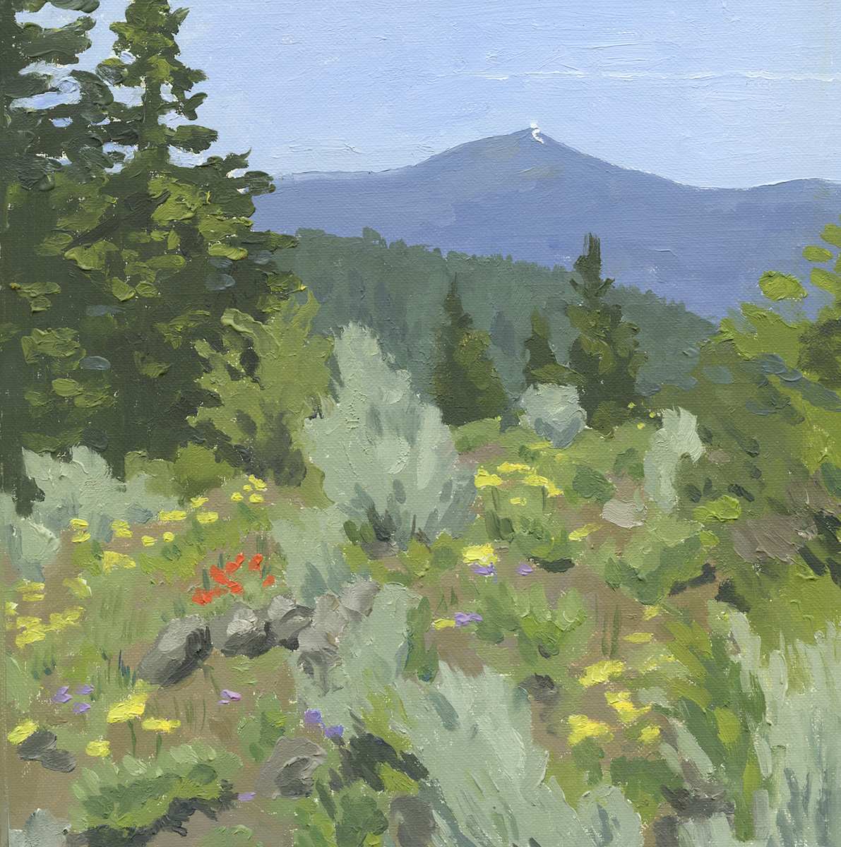 Mt. Ashland from Porcupine Gap by Sarah F. Burns  Image: web sized