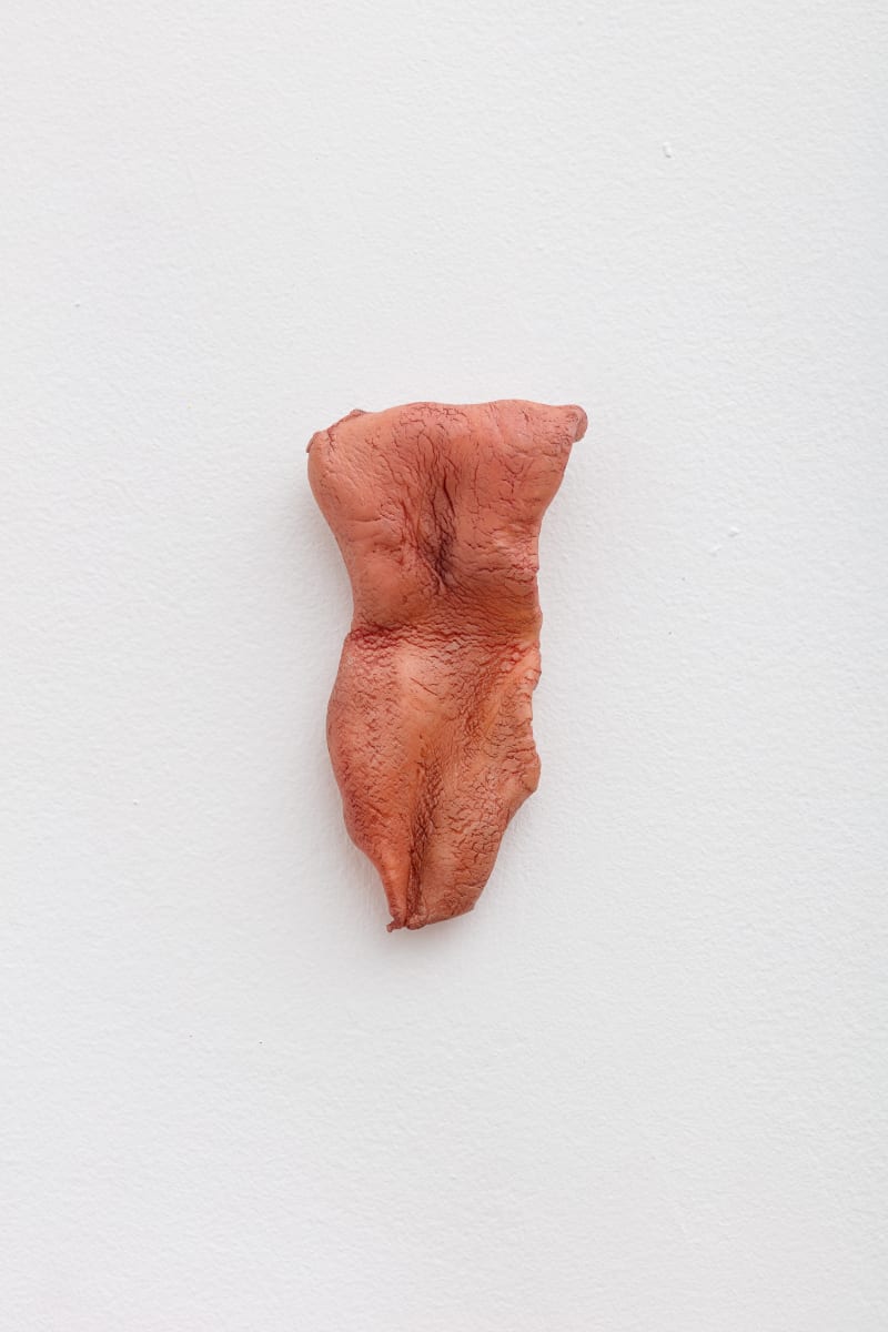 Vênus [Venus] by Gokula Stoffel 